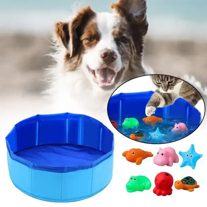 Pet playing in a water pool with floating toys for summer fun