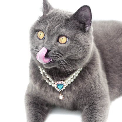 Small dog wearing gem pendant pearl necklace with lace accents