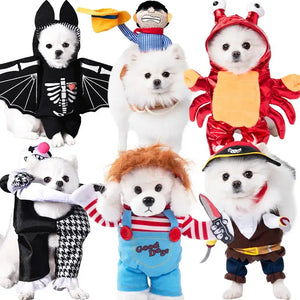 Costume de poignard pour animal de compagnie – Tenue d'Halloween amusante pour chiens et chats
