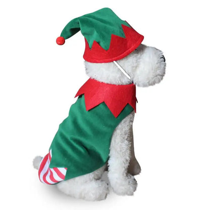 Pet wearing Halloween and Christmas knitted sweaters, featuring festive designs for dogs and cats.