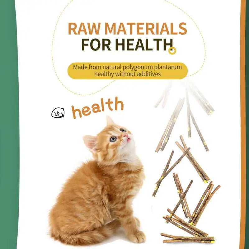 Natural cat mint chew sticks for dental health and entertainment.