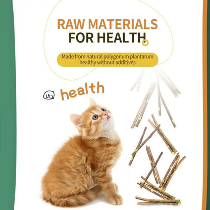 Natural cat mint sticks for chewing and dental care in cats
