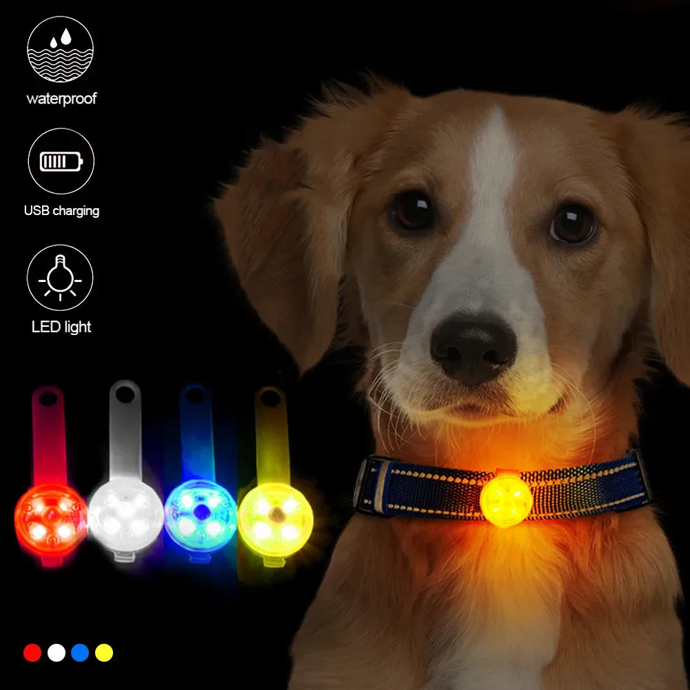 USB rechargeable LED pet collar pendant for nighttime safety and outdoor visibility