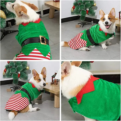 Striped Christmas and Halloween dog costume vest for festive Santa and elf looks