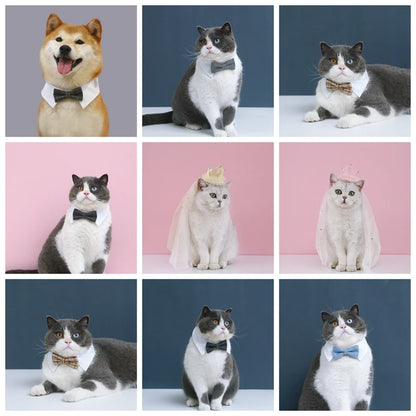 Elegant wedding crown with veil for small dogs and cats – pet bridal headdress