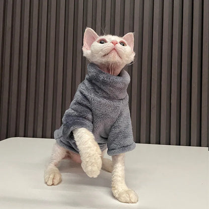 Hairless cat wearing turtleneck fleece winter sweater