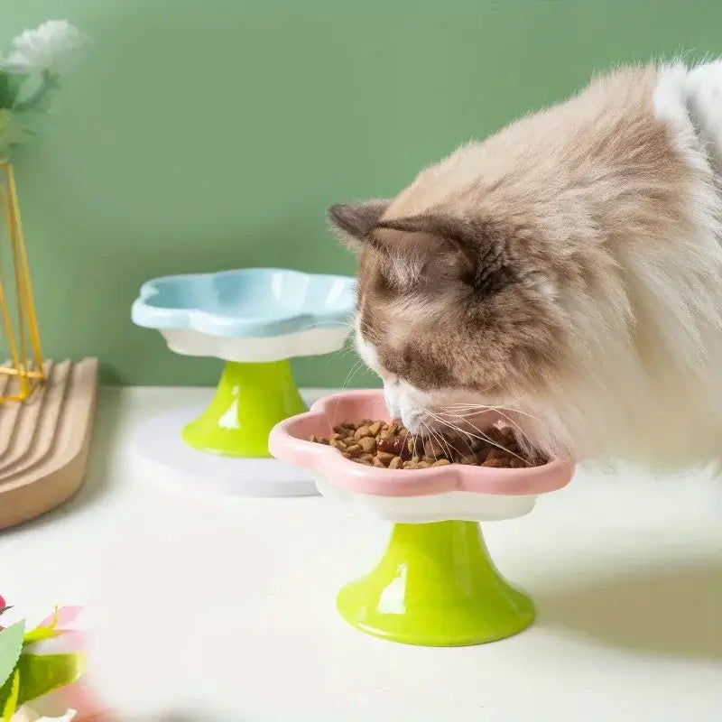 Ceramic raised cat bowl with flower design, ergonomic elevated dish for food and water, ensuring neck protection and comfort during mealtime.