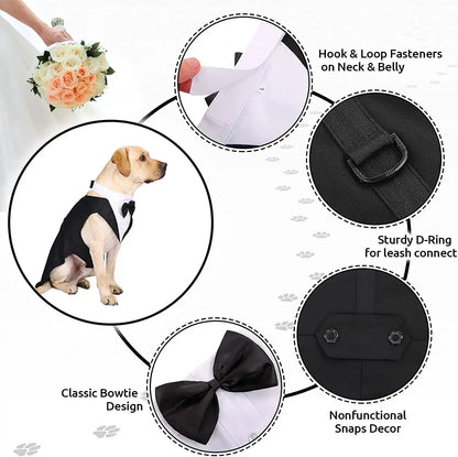 Dog wearing a formal tuxedo suit with bow tie.