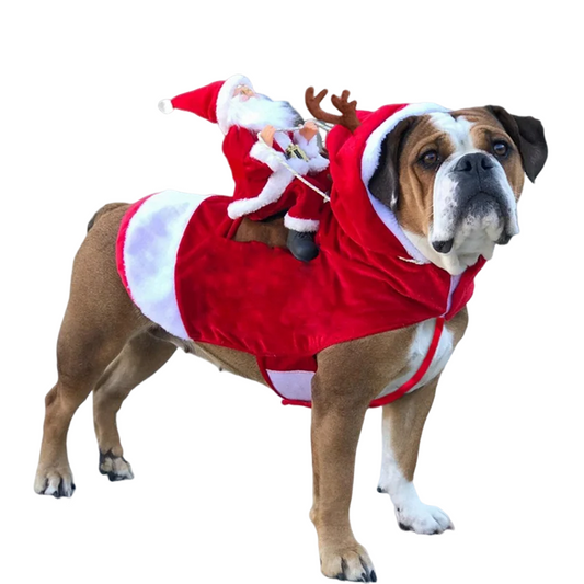 Christmas Santa Sitting on Back dog costume, perfect for festive celebrations and holiday photos.