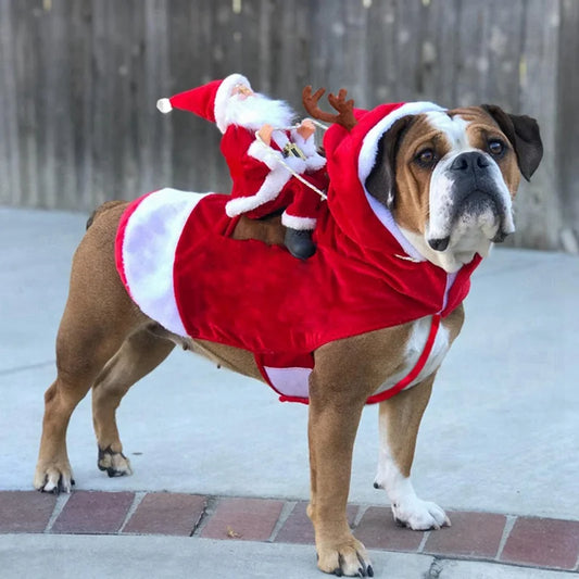 Dog wearing Christmas costume with plush Santa sitting on its back like a rider