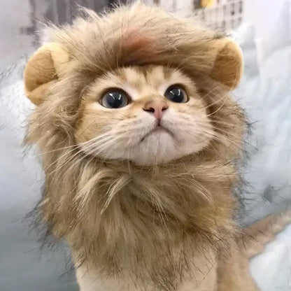 Cat wearing a fluffy lion mane hat, ideal for Halloween or costume parties.