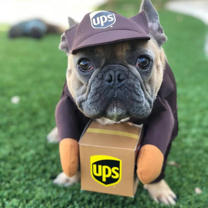 Dog dressed in a UPS courier costume with branded uniform for Halloween or party fun