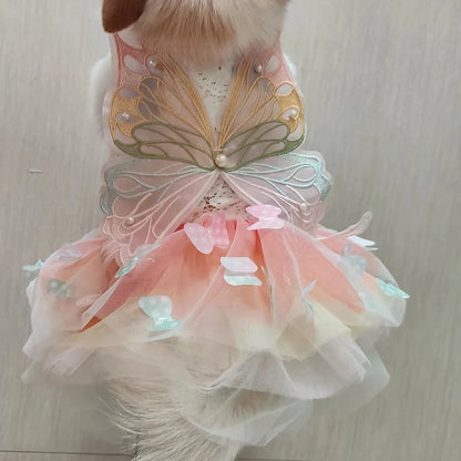 Small dog wearing the Butterfly Princess Dress, showcasing a charming and stylish design perfect for special occasions.