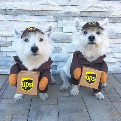 Dog dressed in a UPS courier costume with branded uniform for Halloween or party fun