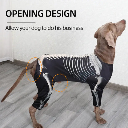 Medium-sized dog wearing a black Halloween skeleton costume with white bone print, standing on a decorated floor.