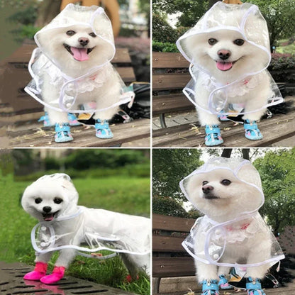 Transparent waterproof dog raincoat for small to medium-sized pets, keeping them dry and stylish during rainy outdoor walks.