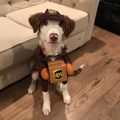 Dog dressed in a UPS courier costume with branded uniform for Halloween or party fun