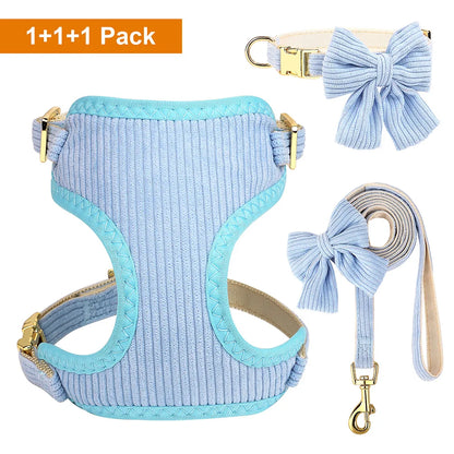 Small dog wearing cute bowtie harness with matching leash and collar