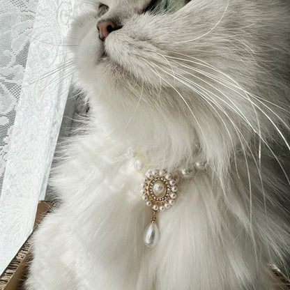 Small dog wearing antique pearl floral necklace with zircon accents