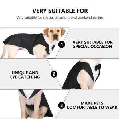 Dog wearing a formal tuxedo suit with bow tie.