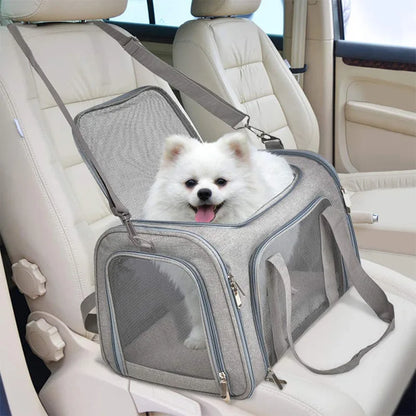 Foldable airline-approved cat and small dog travel tote bag