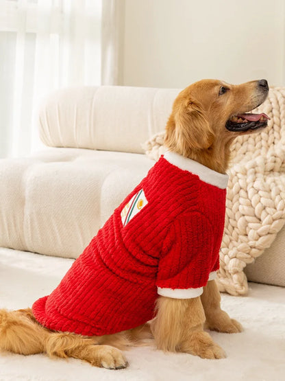 Large dog wearing red Christmas sweater for winter and holiday celebrations