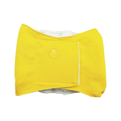 Male dog wearing washable sanitary belly wrap for training