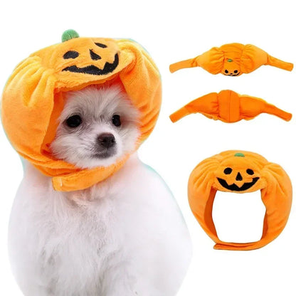 Small dog or cat wearing a festive Halloween pumpkin hat with green stem