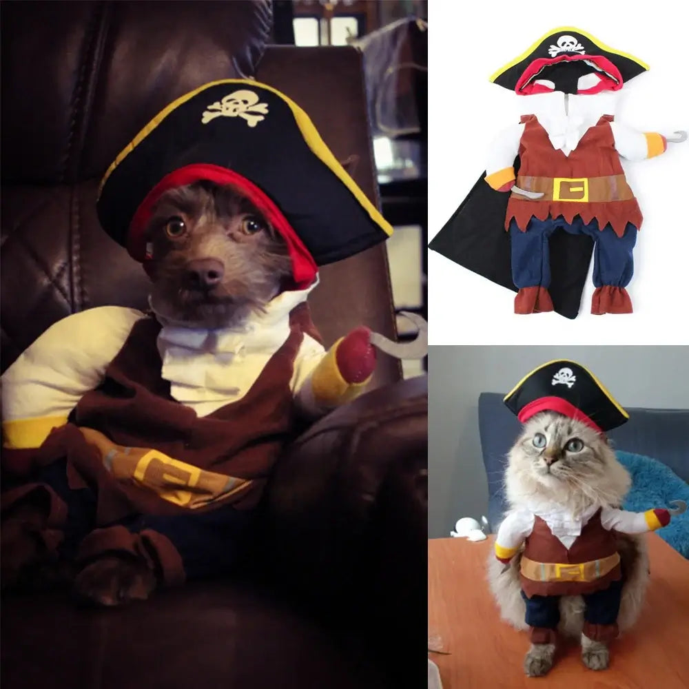 Pirate dog costume, Halloween dog outfit, corsair jacket for dogs, funny dog costume