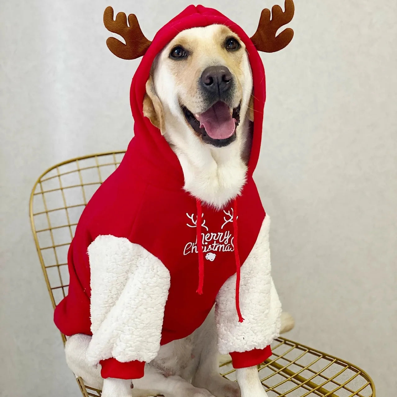 Festive Christmas Fawn Sweatshirt for large dogs, warm cotton fleece winter outfit for Golden Retrievers and Labradors.