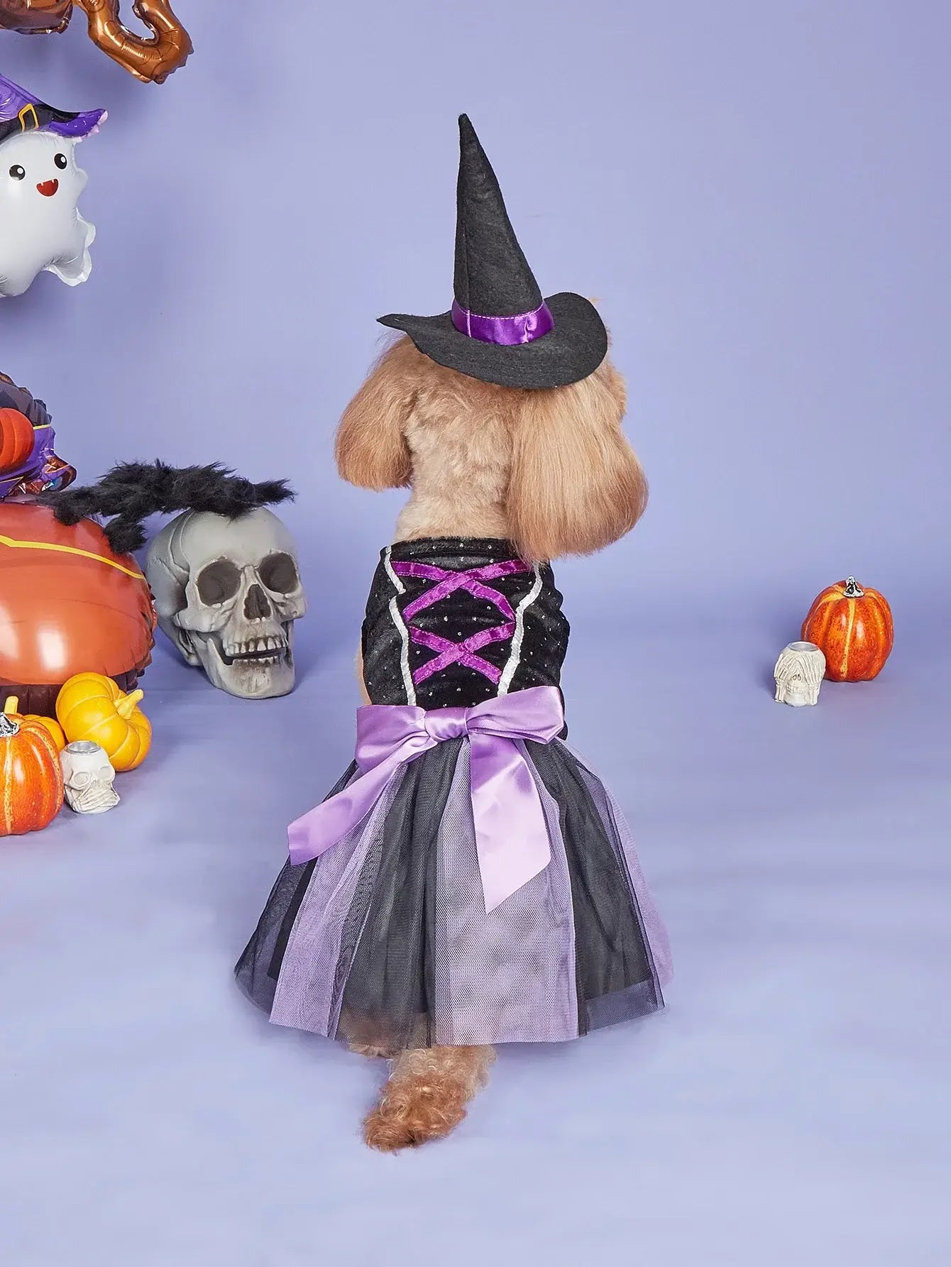 Small dog wearing velvet Halloween dog dress with tulle tutu and witch hat, perfect for Halloween parties or pet photoshoots.