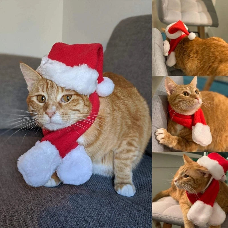 Cat Christmas costume set with reindeer antlers, Santa hat, red scarf, and pet cloak for holiday celebrations.