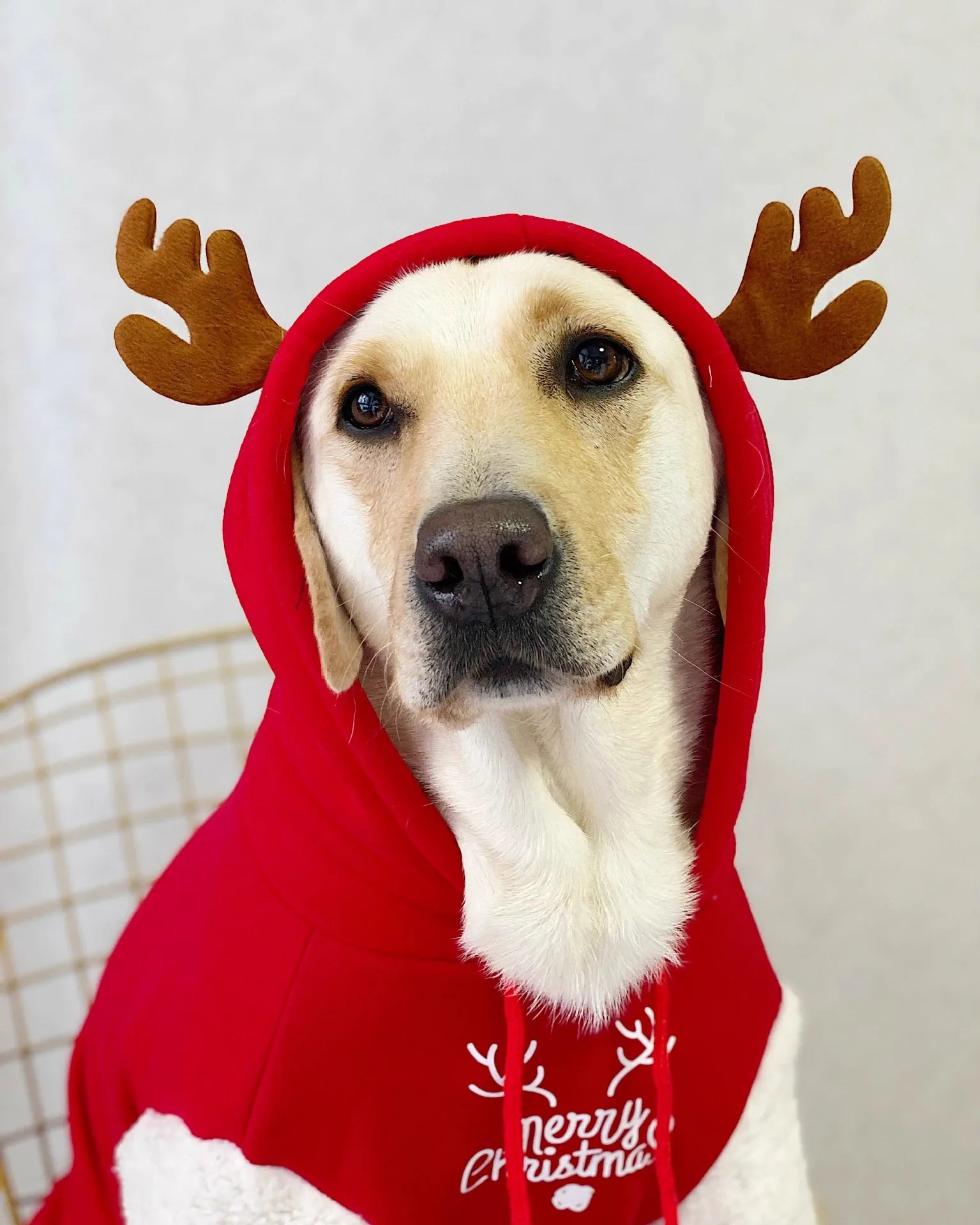 Festive Christmas Fawn Sweatshirt for large dogs, warm cotton fleece winter outfit for Golden Retrievers and Labradors.