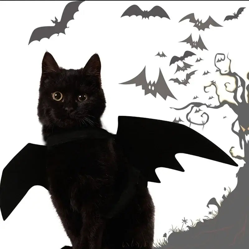 Cute black bat wings harness costume for pets, perfect for Halloween and cosplay, suitable for both cats and dogs.