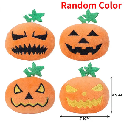 Small dog playing with a Halloween ghost face pumpkin squeaky toy.