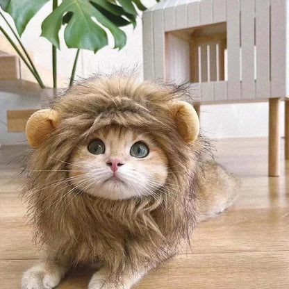 Cat wearing a fluffy lion mane hat, ideal for Halloween or costume parties.