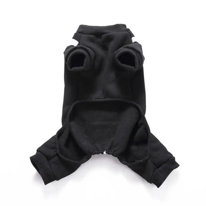 Small dog wearing a Halloween skeleton costume jumpsuit.