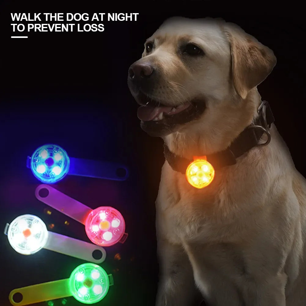 USB rechargeable LED pet collar pendant for nighttime safety and outdoor visibility