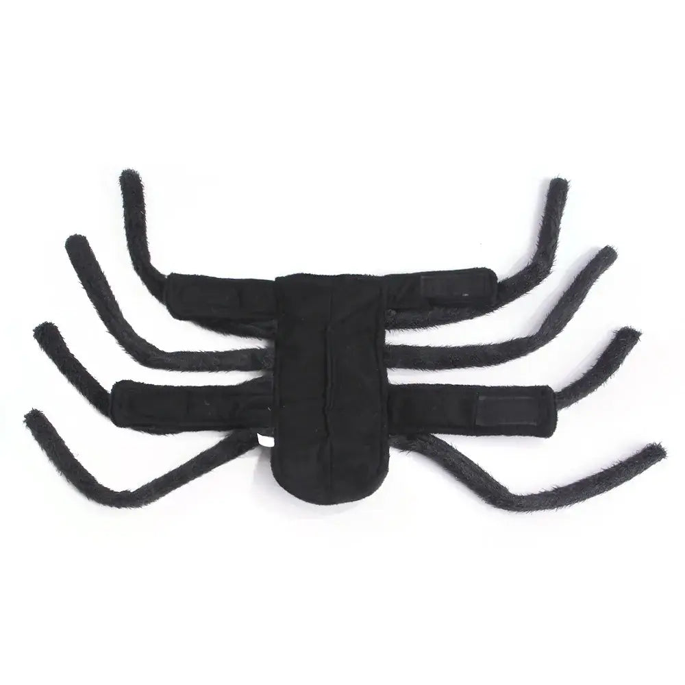 Halloween Dog Costume featuring a black spider design, perfect for festive celebrations and themed events. Available in multiple sizes for all dogs.