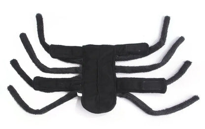 Dog dressed in a black Halloween spider costume with plush legs.