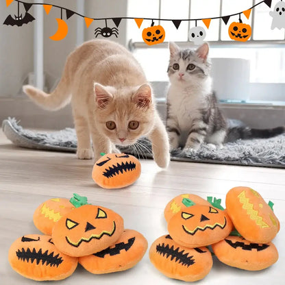 Small dog playing with a Halloween ghost face pumpkin squeaky toy.