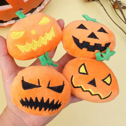 Small dog playing with a Halloween ghost face pumpkin squeaky toy.