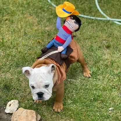 Dog dressed in a funny cowboy costume with a hat, vest, and bandana.