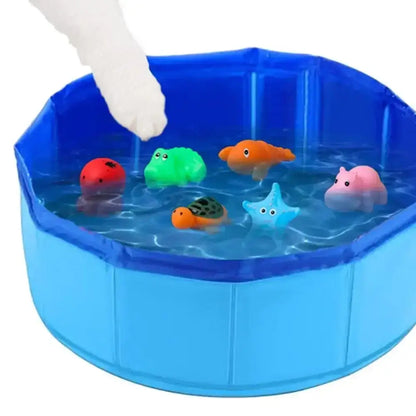 Pet playing in a water pool with floating toys for summer fun