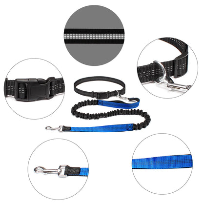 Hands-free dog leash with adjustable waist belt and dual-bungee shock absorber, designed for jogging and running with dogs safely and comfortably.