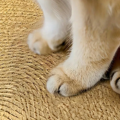 Handmade vine woven cat nest with detachable warmth pad for year-round comfort