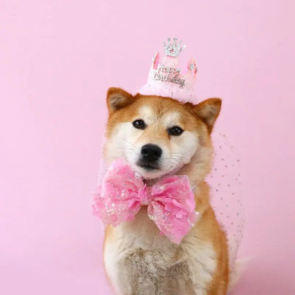 Elegant wedding crown with veil for small dogs and cats – pet bridal headdress