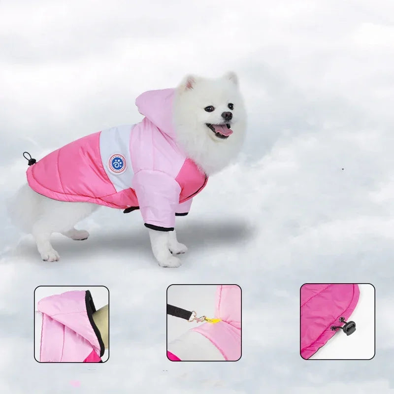 The Pet Paradise | Winter Pet Jacket - Cotton Coat for Small to Medium Dogs & Cats, Warm Puppy Clothes, Chihuahua, Bulldog, Maltese