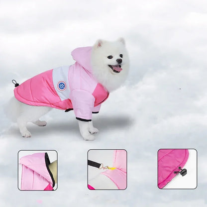 Winter cotton pet jacket for small dogs and cats with warm cozy fit
