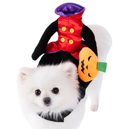 Dog wearing a Halloween costume with foam dagger and stuffed body design.